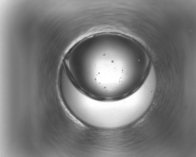 X0000066941518200603271124