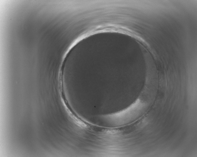 X0000066941522200603271124