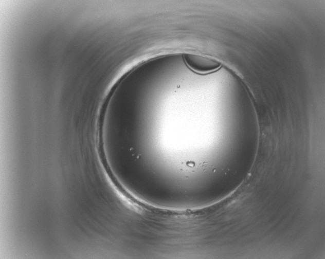 X0000066941523200603271124