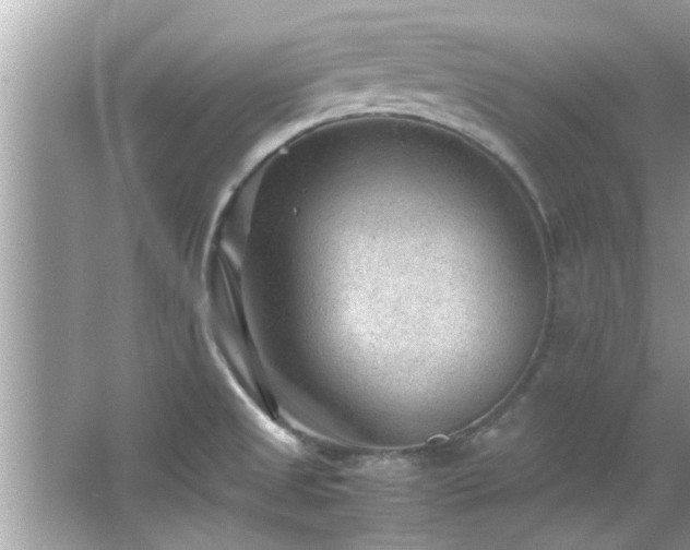 X0000066941525200603271124