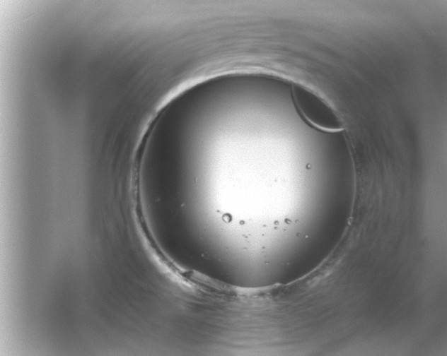 X0000066941526200603271124