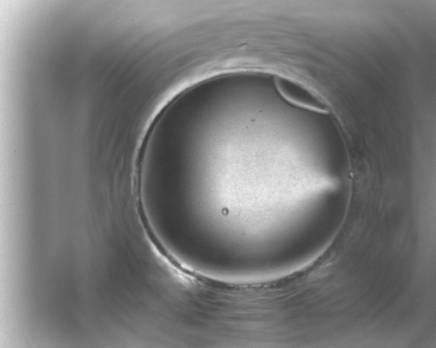 X0000066941527200603271124