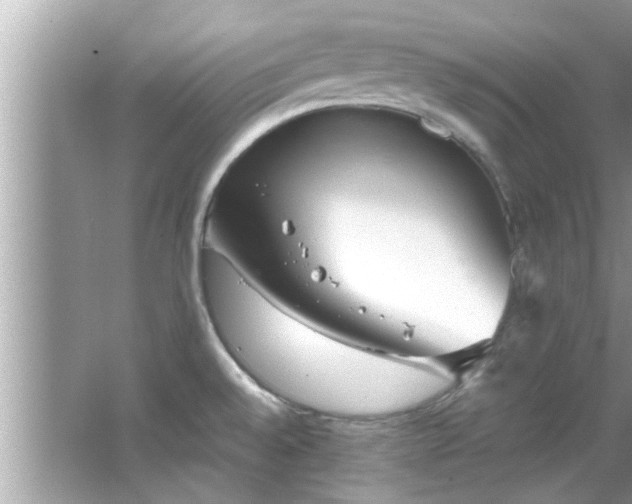 X0000066941528200603271124