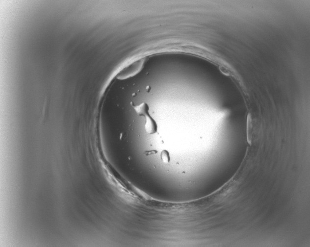 X0000066941530200603271124