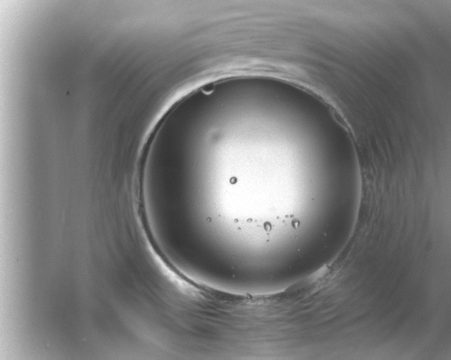 X0000066941531200603271124