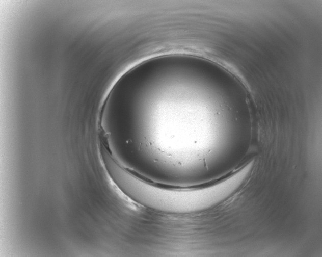 X0000066941532200603271124