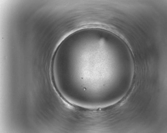 X0000066941533200603271124