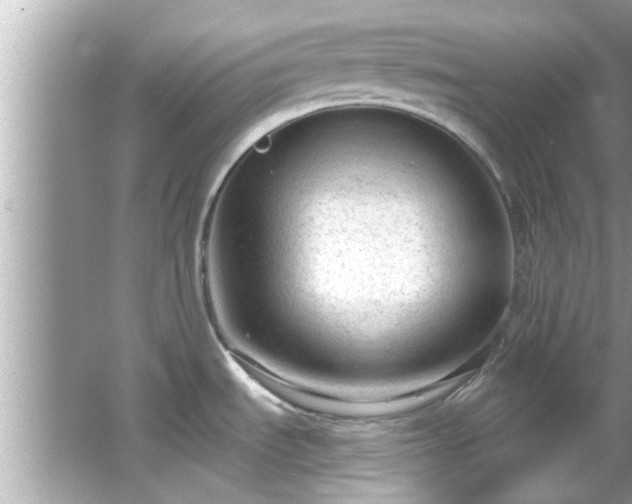 X0000066941535200603271124