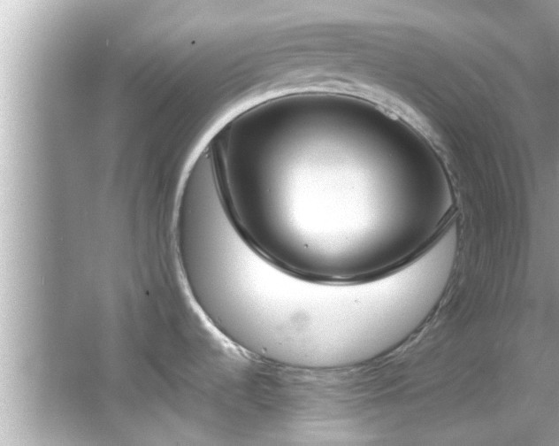 X0000066941536200603271124