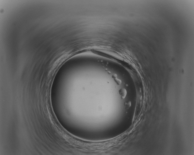 X0000066940001200603311429