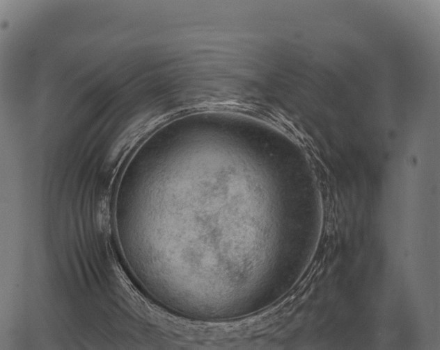 X0000066940002200603311429