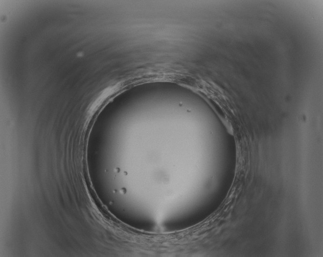 X0000066940003200603311429