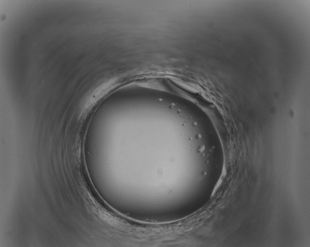 X0000066940005200603311429