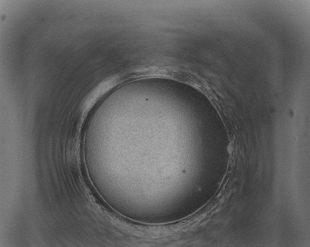 X0000066940006200603311429