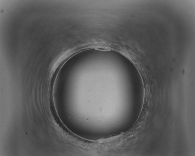 X0000066940007200603311429