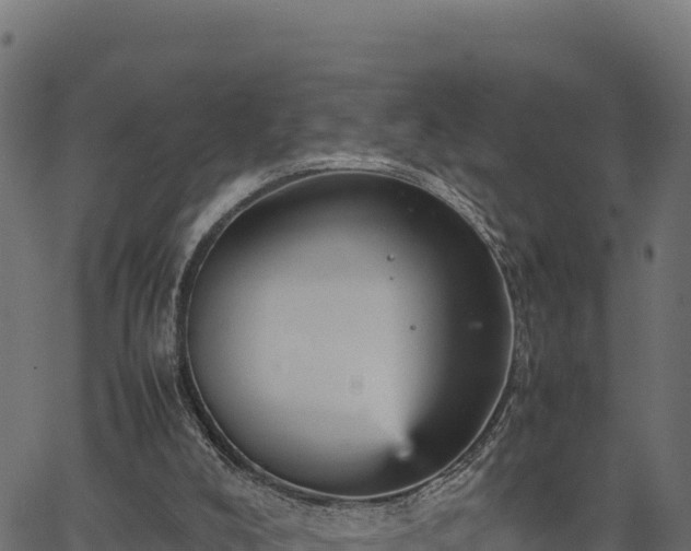 X0000066940008200603311429