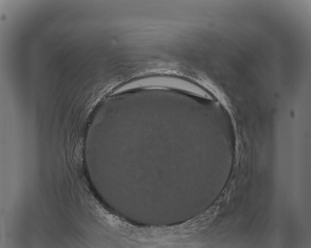 X0000066940009200603311429