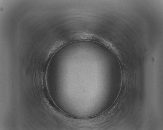 X0000066940010200603311429