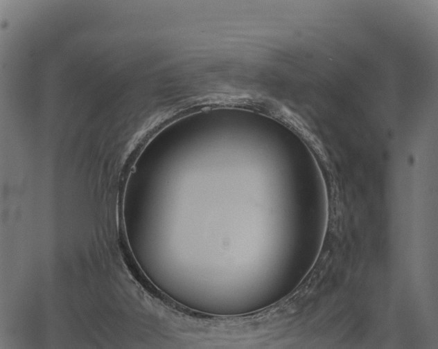 X0000066940011200603311429