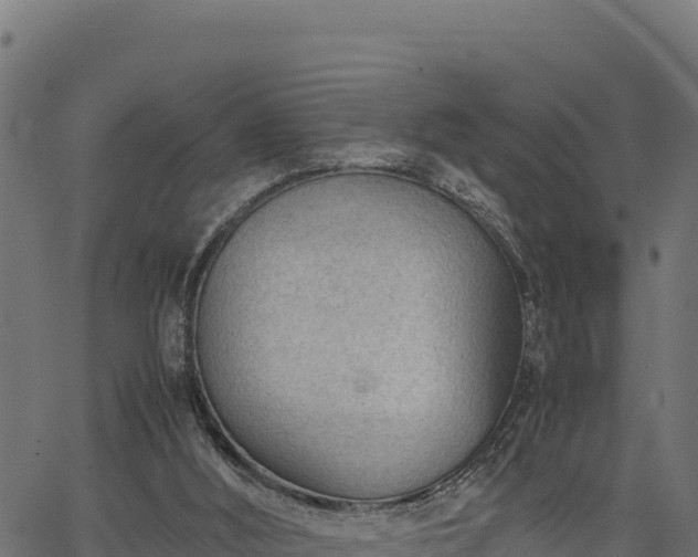 X0000066940012200603311429