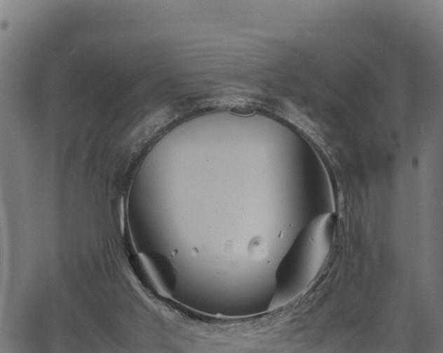 X0000066940013200603311429