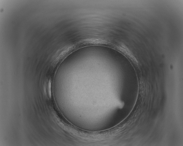 X0000066940014200603311429