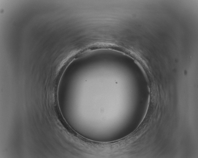 X0000066940015200603311429