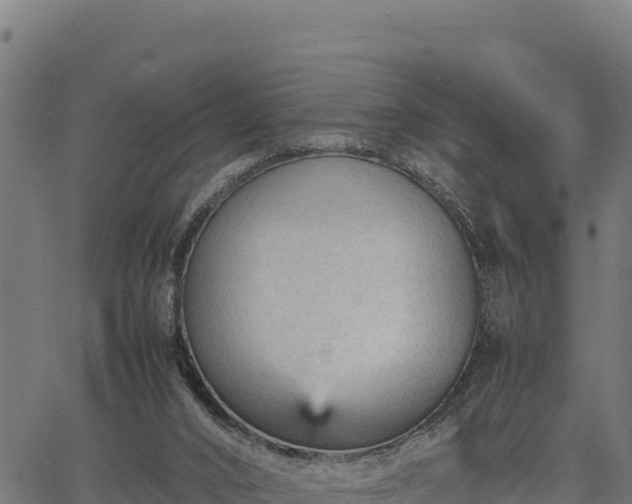 X0000066940016200603311429