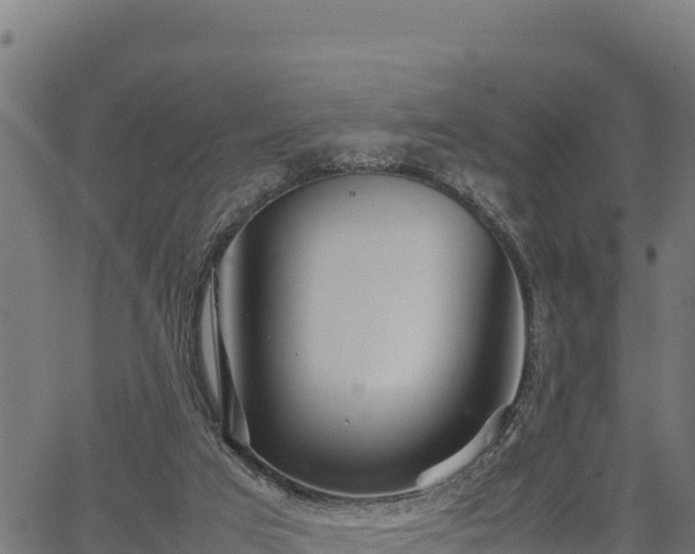 X0000066940017200603311428