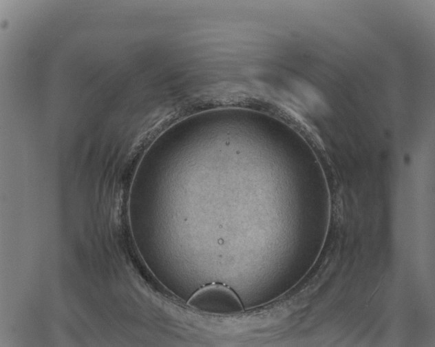 X0000066940018200603311428