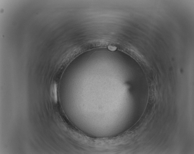 X0000066940022200603311428