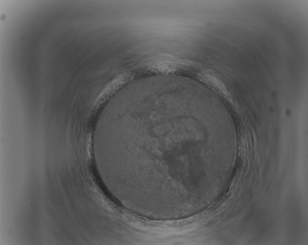 X0000066940023200603311428