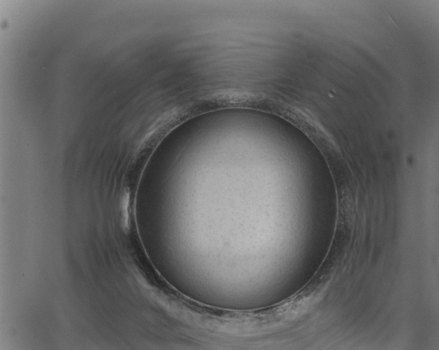 X0000066940024200603311428