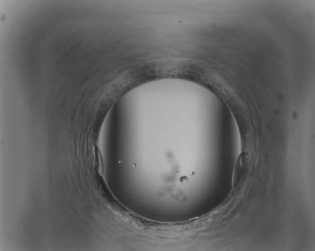 X0000066940025200603311428