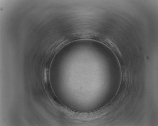 X0000066940026200603311428