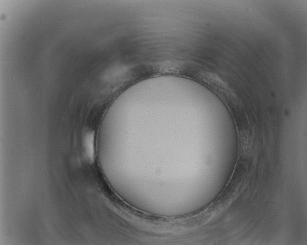 X0000066940028200603311428