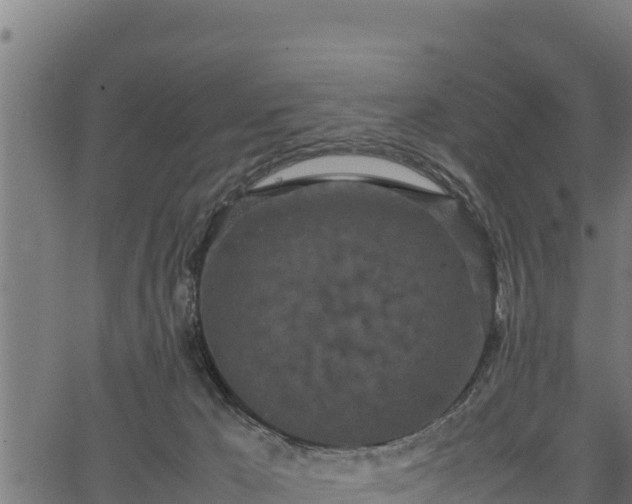 X0000066940029200603311428