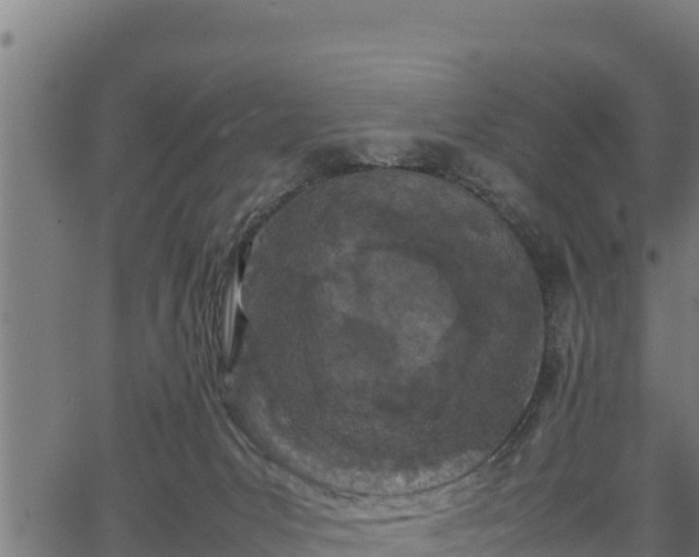 X0000066940031200603311428