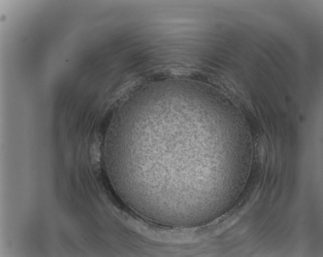 X0000066940032200603311428