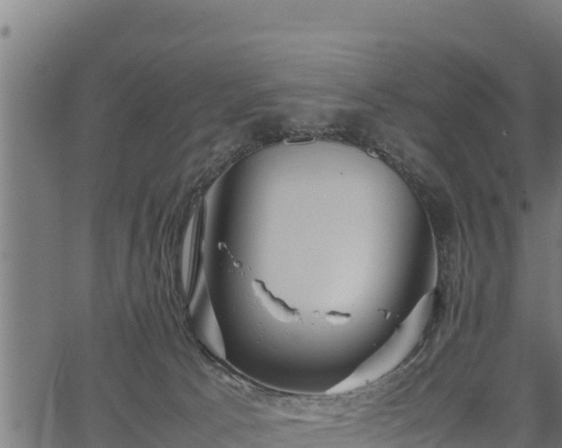 X0000066940033200603311428