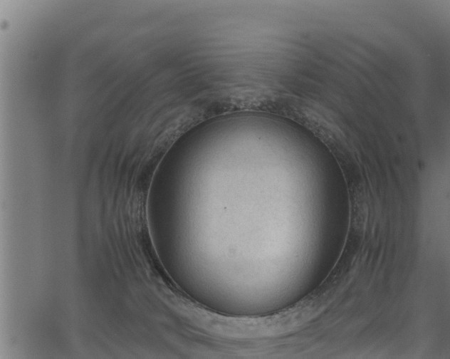 X0000066940034200603311428