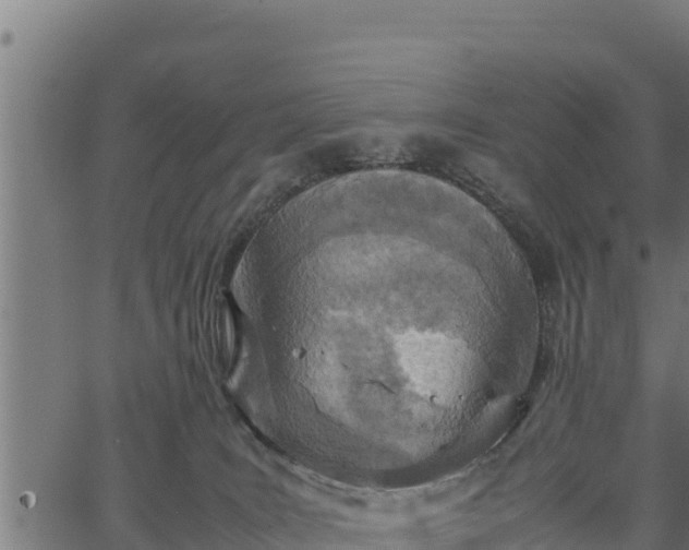 X0000066940035200603311428