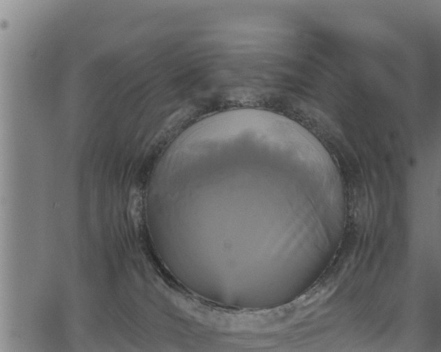 X0000066940036200603311428