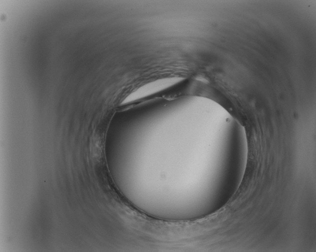 X0000066940037200603311428