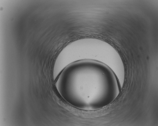 X0000066940039200603311428