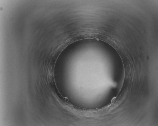 X0000066940040200603311428