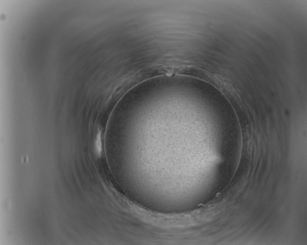 X0000066940042200603311428