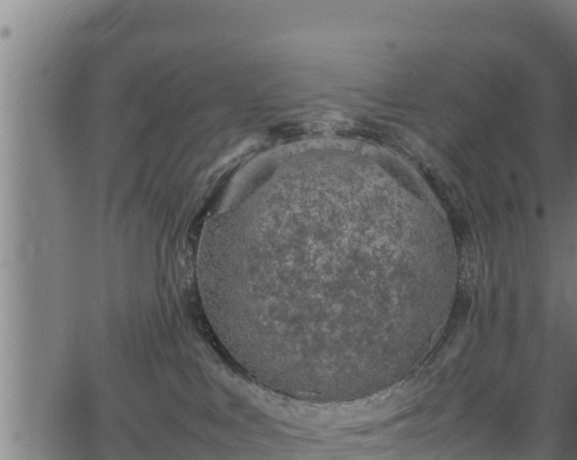 X0000066940043200603311428