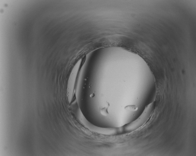 X0000066940045200603311428