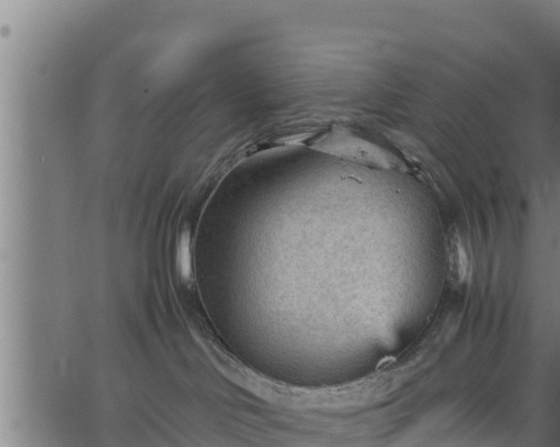 X0000066940046200603311428